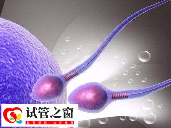 卵泡质量不佳的女性可以尝试微刺激方案