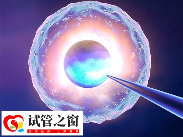 卵子质量改善的关键在于激素水平