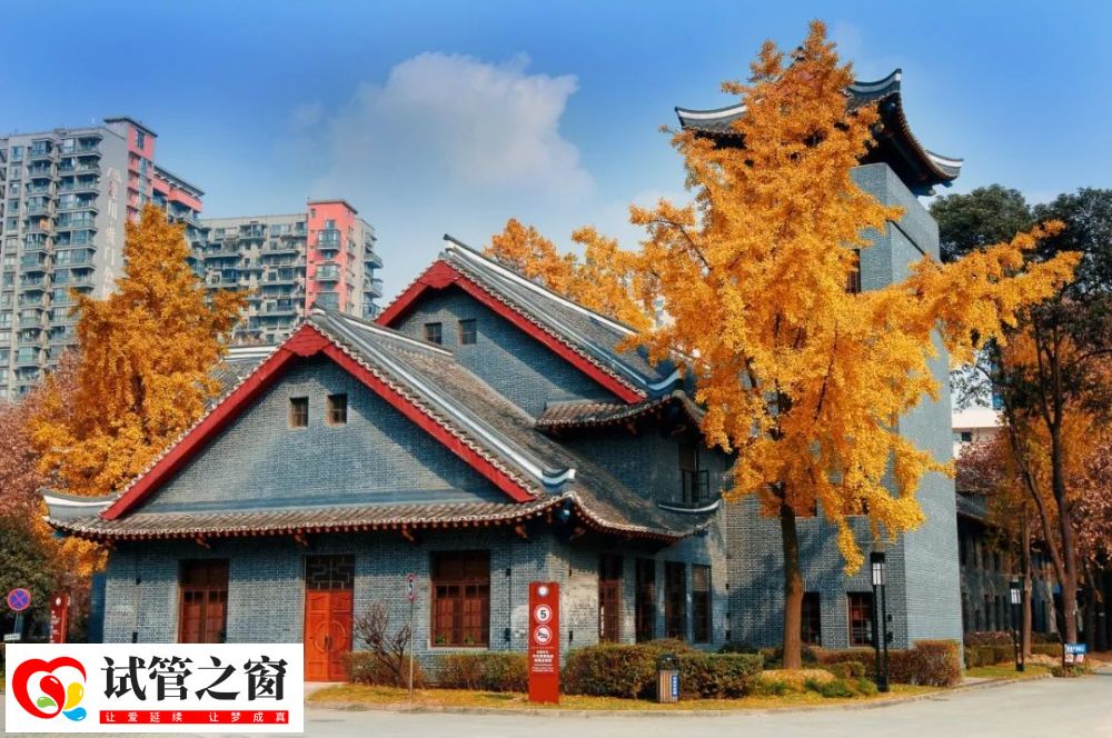 4000万父母排队去成都“造人”(图6)