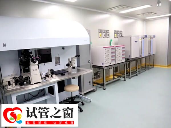 胚胎评分678是较为常见的评分等级