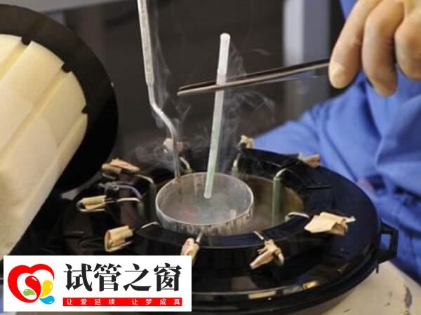 胚胎评分8为第三天优质卵裂胚