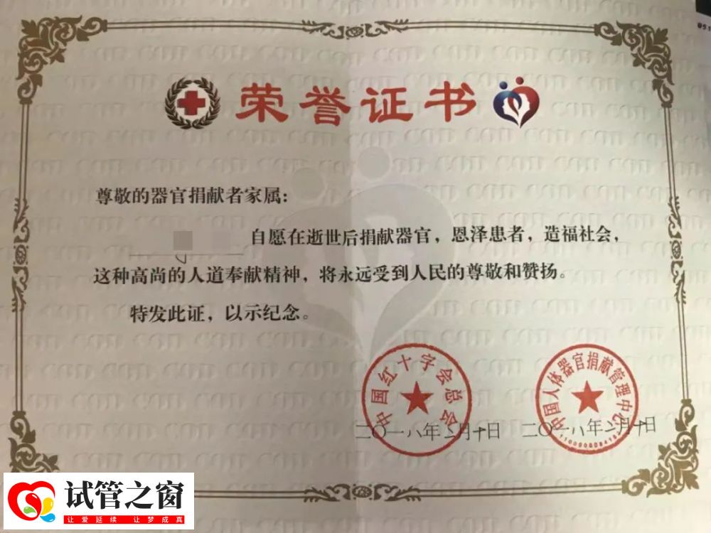 捐出儿子器官后,41岁的失独家庭挑战试管续梦(图1)