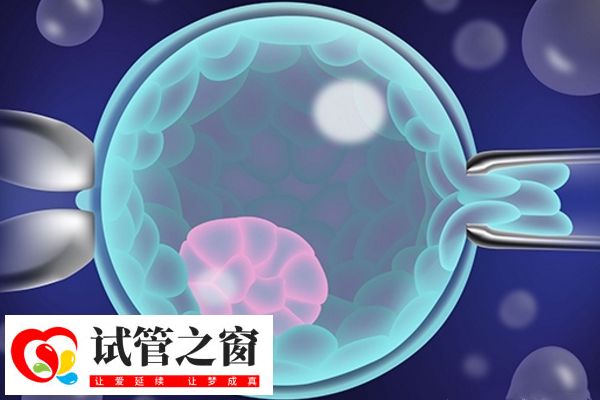 囊胚妊娠率高