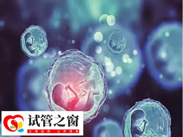 绝经做试管婴儿成功率低