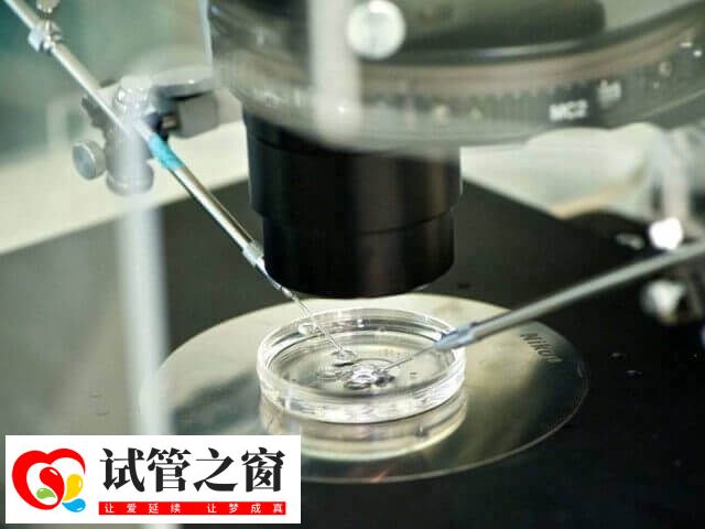 高龄女性适合一代试管婴儿