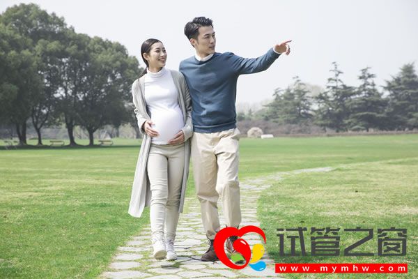 濮阳试管婴儿医院排名榜、 哪家成功率最高？