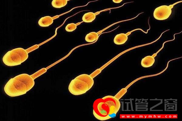 杭州邵逸夫医院三代试管费用多少邵逸夫试管成功率是多少