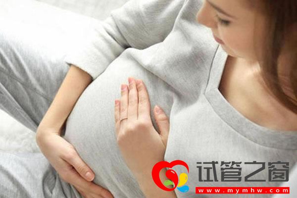 试管之窗 试管之窗