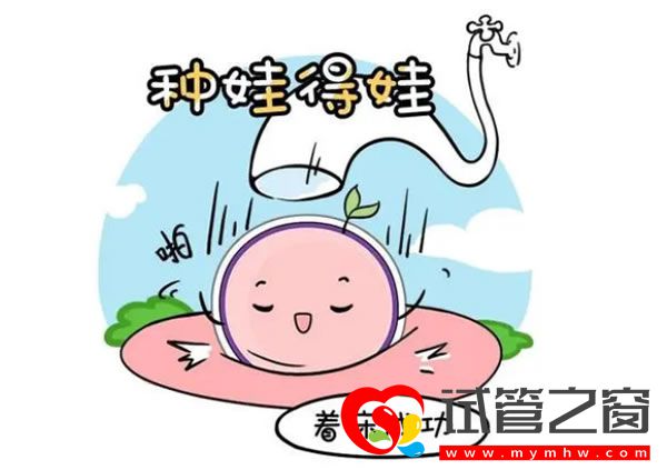 高龄备孕该注意些什么？