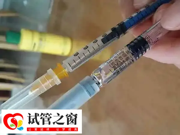 促排药物会使体内雌激素水平升高