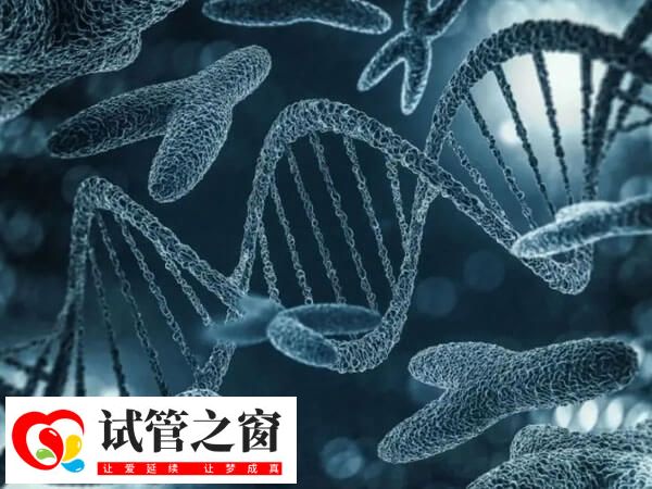 女性染色体9qh—是什么意思?能生出健康宝宝吗?(图1) 染色体异常对胎儿影响较大