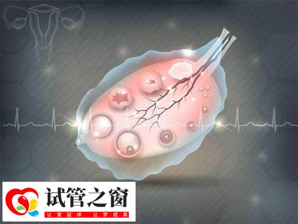 试管婴儿拮抗剂方案促排卵要卵泡发育到多大打夜针?(图1) 多数卵泡发育10mm以上即可打夜针