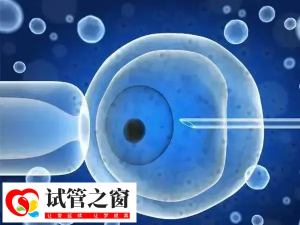 促排是否会导致AMH下降