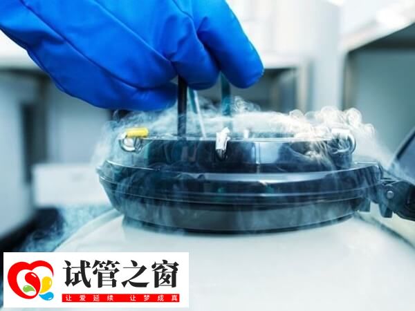 胚胎不进行移植可以选择冷冻保存