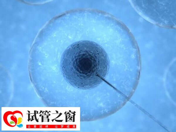 临床上囊胚移植成功率高