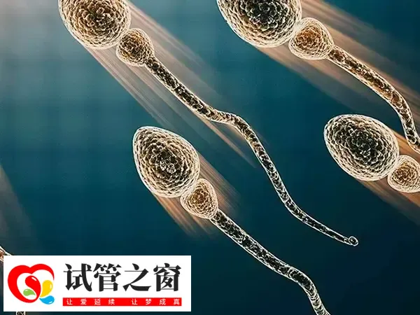 做试管婴儿也有可能出现胎停